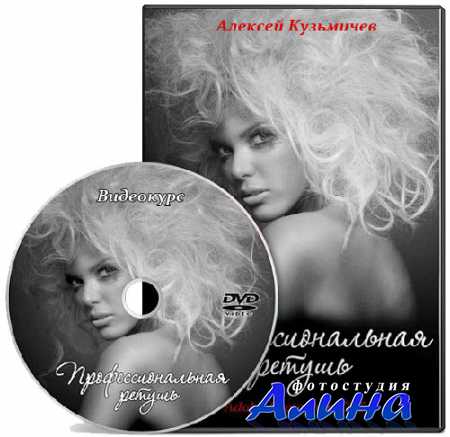 Профессиональная ретушь (2011)