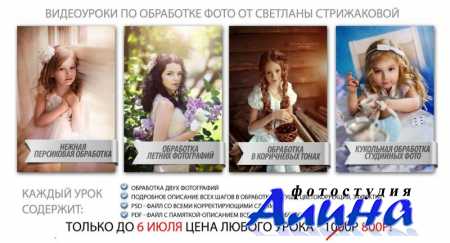 Светлана Стрижакова Видеоуроки по обработке фото (2014)