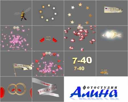 Video3d - Свадебные «фишки»
