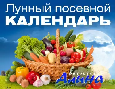Лунный календарь садовода и огородника 2010